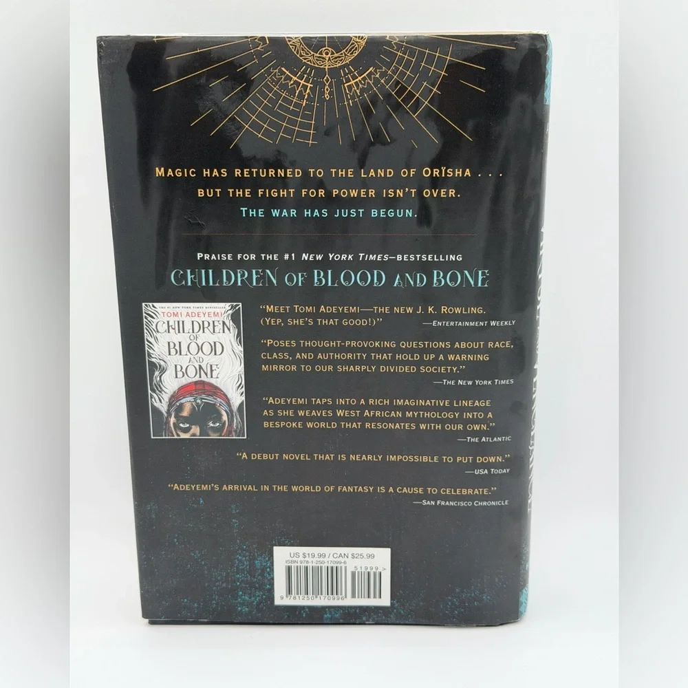 Children of Virtue and Vengeance Book